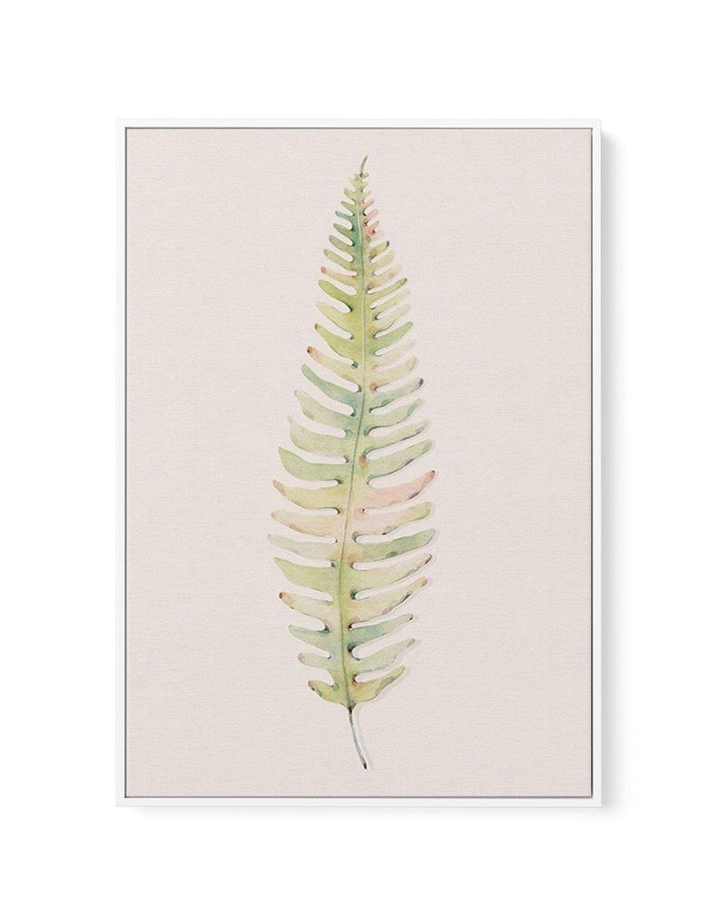 Blushing Fern I | Watercolor | Framed Canvas-CANVAS-You can shop wall art online with Olive et Oriel for everything from abstract art to fun kids wall art. Our beautiful modern art prints and canvas art are available from large canvas prints to wall art paintings and our proudly Australian artwork collection offers only the highest quality framed large wall art and canvas art Australia - You can buy fashion photography prints or Hampton print posters and paintings on canvas from Olive et Oriel a