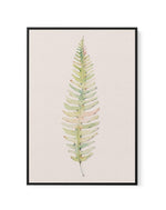 Blushing Fern I | Watercolor | Framed Canvas-CANVAS-You can shop wall art online with Olive et Oriel for everything from abstract art to fun kids wall art. Our beautiful modern art prints and canvas art are available from large canvas prints to wall art paintings and our proudly Australian artwork collection offers only the highest quality framed large wall art and canvas art Australia - You can buy fashion photography prints or Hampton print posters and paintings on canvas from Olive et Oriel a