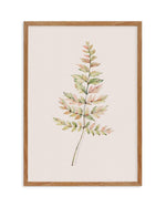 Blushing Fern II | Watercolor Art Print-PRINT-Olive et Oriel-Olive et Oriel-50x70 cm | 19.6" x 27.5"-Walnut-With White Border-Buy-Australian-Art-Prints-Online-with-Olive-et-Oriel-Your-Artwork-Specialists-Austrailia-Decorate-With-Coastal-Photo-Wall-Art-Prints-From-Our-Beach-House-Artwork-Collection-Fine-Poster-and-Framed-Artwork