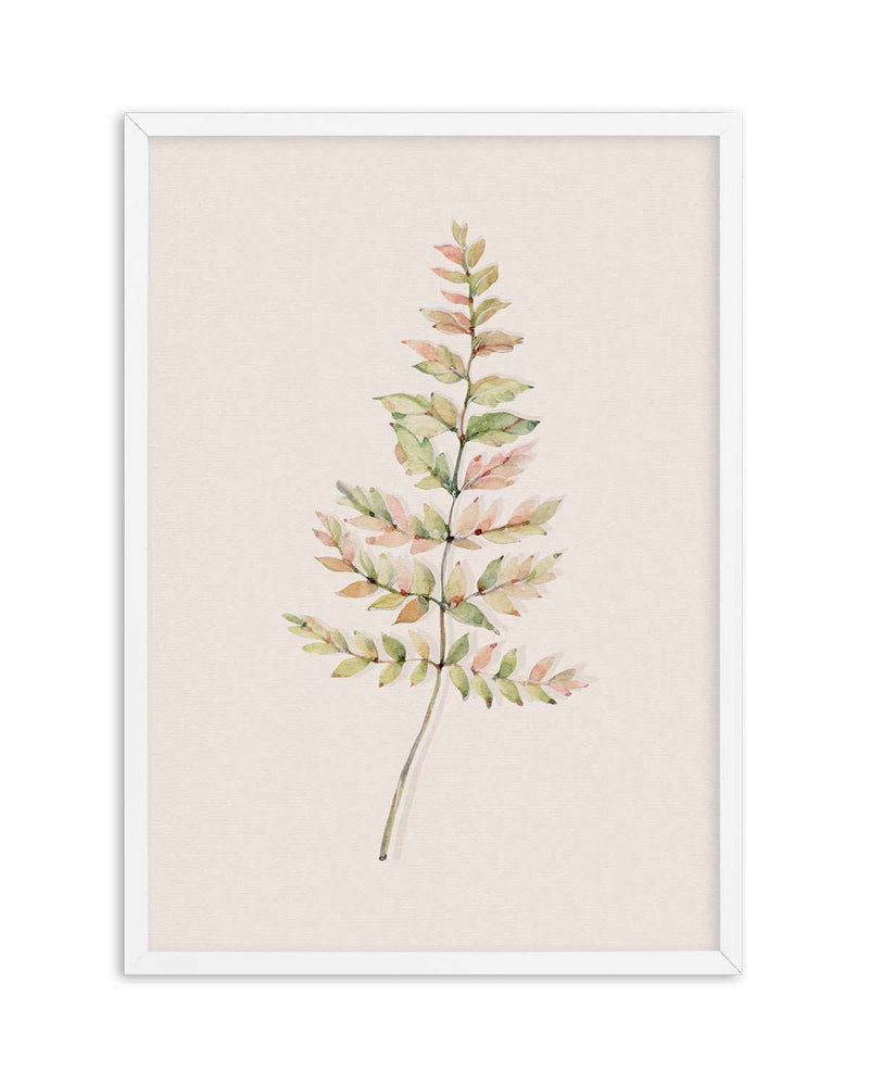Blushing Fern II | Watercolor Art Print-PRINT-Olive et Oriel-Olive et Oriel-A4 | 8.3" x 11.7" | 21 x 29.7cm-White-With White Border-Buy-Australian-Art-Prints-Online-with-Olive-et-Oriel-Your-Artwork-Specialists-Austrailia-Decorate-With-Coastal-Photo-Wall-Art-Prints-From-Our-Beach-House-Artwork-Collection-Fine-Poster-and-Framed-Artwork