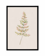 Blushing Fern II | Watercolor Art Print-PRINT-Olive et Oriel-Olive et Oriel-A4 | 8.3" x 11.7" | 21 x 29.7cm-Black-With White Border-Buy-Australian-Art-Prints-Online-with-Olive-et-Oriel-Your-Artwork-Specialists-Austrailia-Decorate-With-Coastal-Photo-Wall-Art-Prints-From-Our-Beach-House-Artwork-Collection-Fine-Poster-and-Framed-Artwork