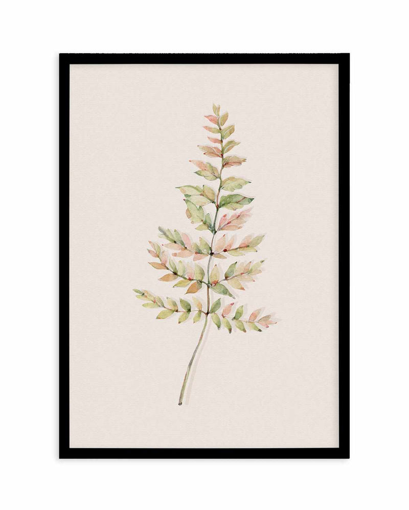 Blushing Fern II | Watercolor Art Print-PRINT-Olive et Oriel-Olive et Oriel-A4 | 8.3" x 11.7" | 21 x 29.7cm-Black-With White Border-Buy-Australian-Art-Prints-Online-with-Olive-et-Oriel-Your-Artwork-Specialists-Austrailia-Decorate-With-Coastal-Photo-Wall-Art-Prints-From-Our-Beach-House-Artwork-Collection-Fine-Poster-and-Framed-Artwork