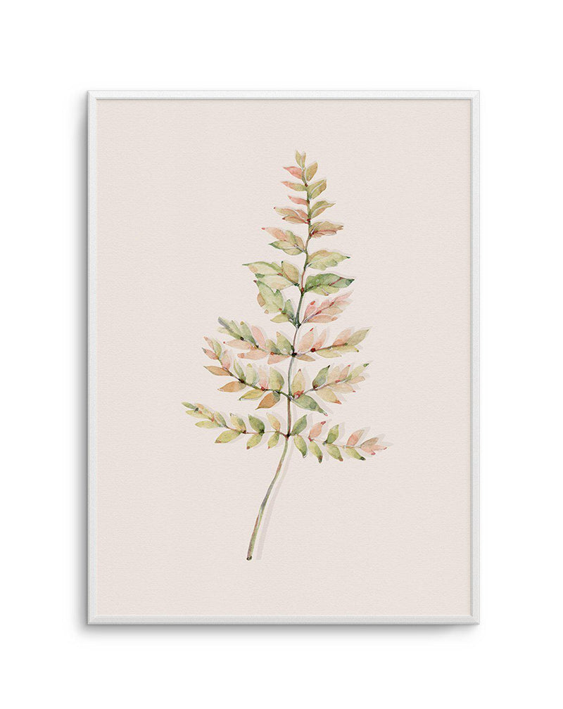 Blushing Fern II | Watercolor Art Print-PRINT-Olive et Oriel-Olive et Oriel-A4 | 8.3" x 11.7" | 21 x 29.7cm-Unframed Art Print-With White Border-Buy-Australian-Art-Prints-Online-with-Olive-et-Oriel-Your-Artwork-Specialists-Austrailia-Decorate-With-Coastal-Photo-Wall-Art-Prints-From-Our-Beach-House-Artwork-Collection-Fine-Poster-and-Framed-Artwork