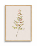 Blushing Fern II | Watercolor Art Print-PRINT-Olive et Oriel-Olive et Oriel-A4 | 8.3" x 11.7" | 21 x 29.7cm-Oak-With White Border-Buy-Australian-Art-Prints-Online-with-Olive-et-Oriel-Your-Artwork-Specialists-Austrailia-Decorate-With-Coastal-Photo-Wall-Art-Prints-From-Our-Beach-House-Artwork-Collection-Fine-Poster-and-Framed-Artwork