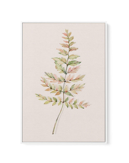Blushing Fern II | Watercolor | Framed Canvas-CANVAS-You can shop wall art online with Olive et Oriel for everything from abstract art to fun kids wall art. Our beautiful modern art prints and canvas art are available from large canvas prints to wall art paintings and our proudly Australian artwork collection offers only the highest quality framed large wall art and canvas art Australia - You can buy fashion photography prints or Hampton print posters and paintings on canvas from Olive et Oriel 