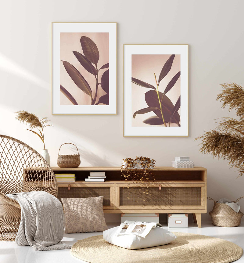 Blushing Ficus I Art Print-PRINT-Olive et Oriel-Olive et Oriel-Buy-Australian-Art-Prints-Online-with-Olive-et-Oriel-Your-Artwork-Specialists-Austrailia-Decorate-With-Coastal-Photo-Wall-Art-Prints-From-Our-Beach-House-Artwork-Collection-Fine-Poster-and-Framed-Artwork