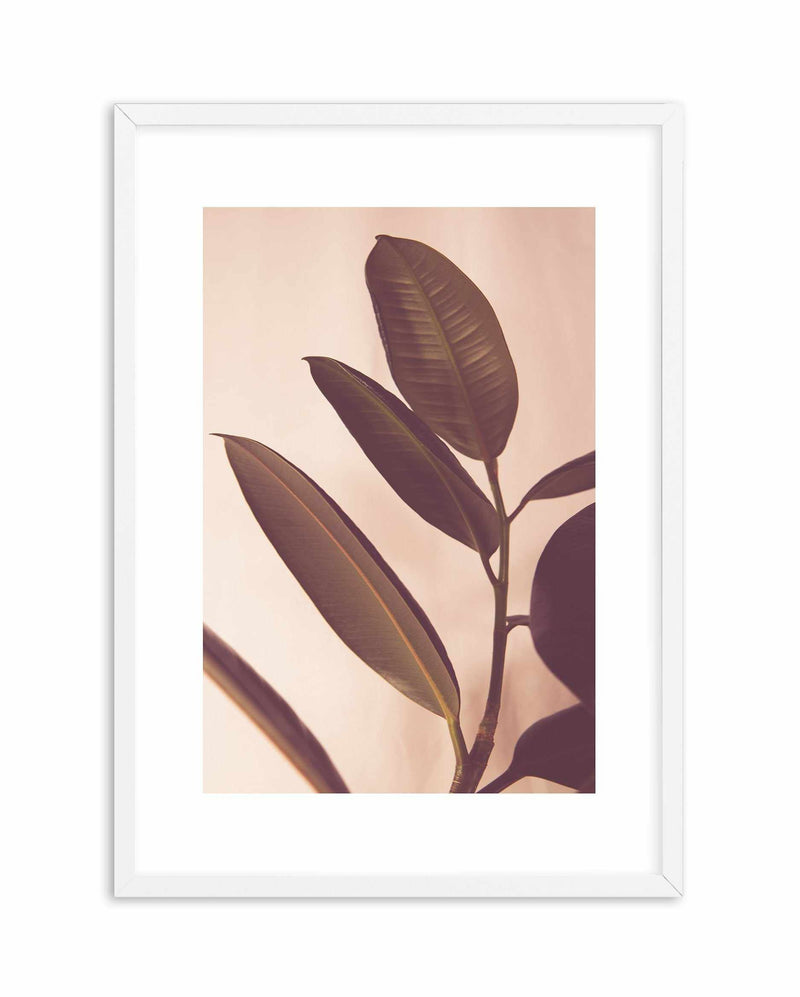 Blushing Ficus I Art Print-PRINT-Olive et Oriel-Olive et Oriel-A4 | 8.3" x 11.7" | 21 x 29.7cm-White-With White Border-Buy-Australian-Art-Prints-Online-with-Olive-et-Oriel-Your-Artwork-Specialists-Austrailia-Decorate-With-Coastal-Photo-Wall-Art-Prints-From-Our-Beach-House-Artwork-Collection-Fine-Poster-and-Framed-Artwork