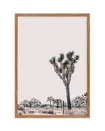 Blushing Joshua Tree II Art Print-PRINT-Olive et Oriel-Olive et Oriel-50x70 cm | 19.6" x 27.5"-Walnut-With White Border-Buy-Australian-Art-Prints-Online-with-Olive-et-Oriel-Your-Artwork-Specialists-Austrailia-Decorate-With-Coastal-Photo-Wall-Art-Prints-From-Our-Beach-House-Artwork-Collection-Fine-Poster-and-Framed-Artwork