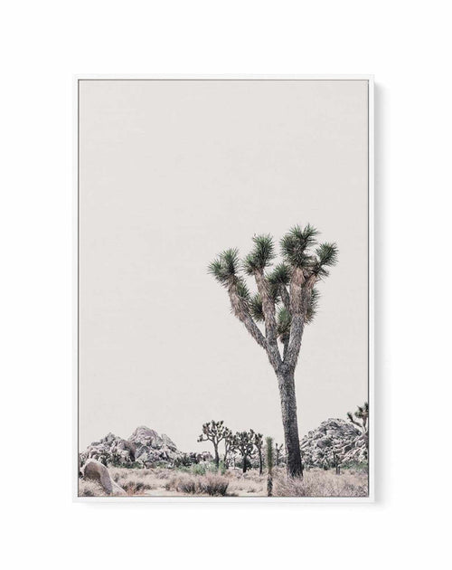 Blushing Joshua Tree II | Framed Canvas-CANVAS-You can shop wall art online with Olive et Oriel for everything from abstract art to fun kids wall art. Our beautiful modern art prints and canvas art are available from large canvas prints to wall art paintings and our proudly Australian artwork collection offers only the highest quality framed large wall art and canvas art Australia - You can buy fashion photography prints or Hampton print posters and paintings on canvas from Olive et Oriel and ha