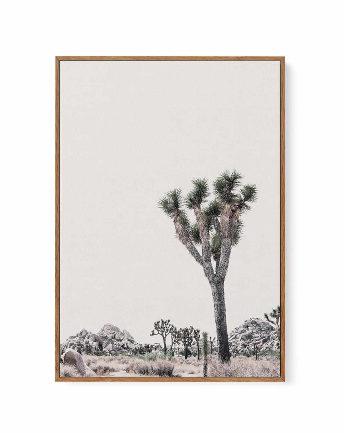 Blushing Joshua Tree II | Framed Canvas