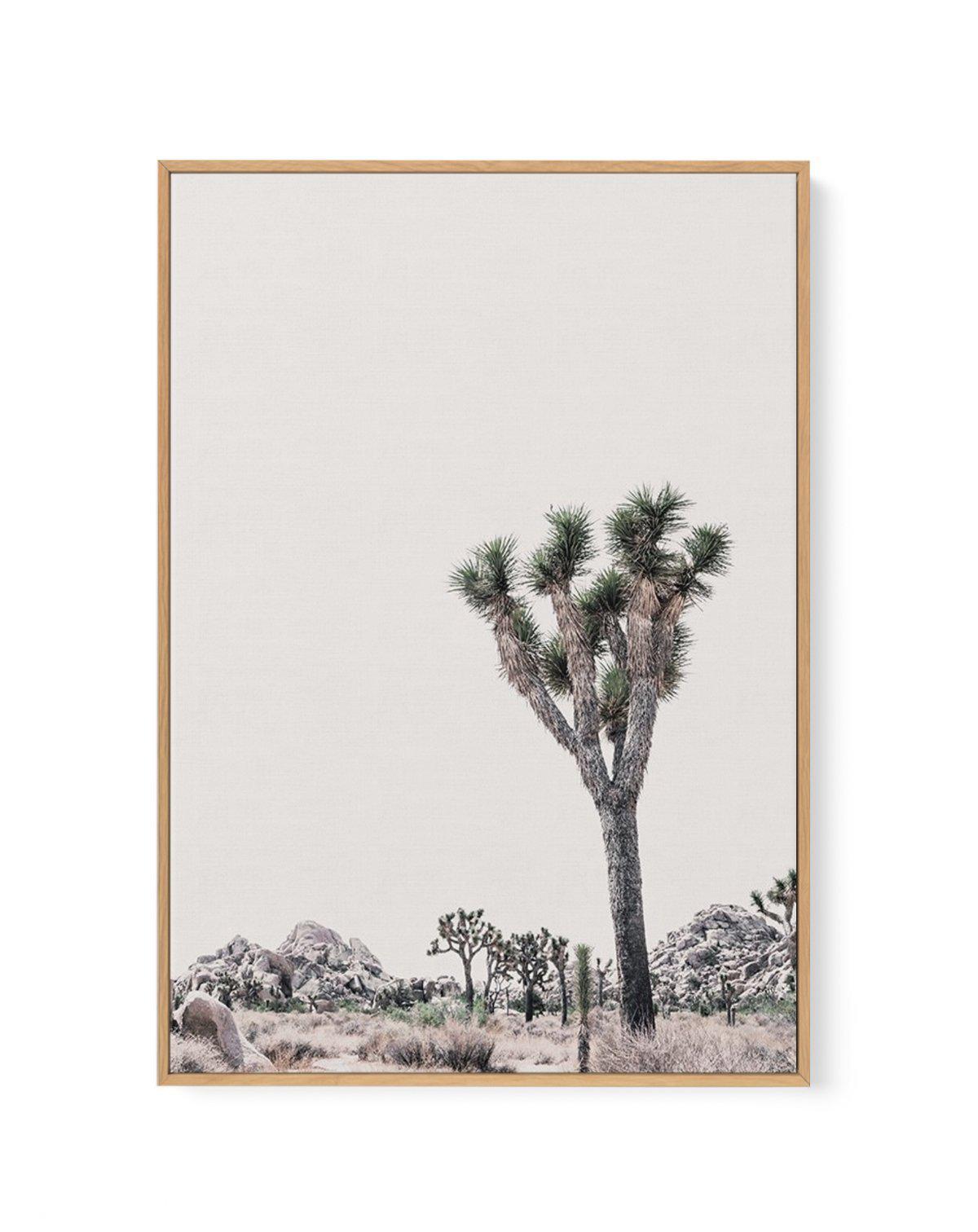 Blushing Joshua Tree II | Framed Canvas-CANVAS-You can shop wall art online with Olive et Oriel for everything from abstract art to fun kids wall art. Our beautiful modern art prints and canvas art are available from large canvas prints to wall art paintings and our proudly Australian artwork collection offers only the highest quality framed large wall art and canvas art Australia - You can buy fashion photography prints or Hampton print posters and paintings on canvas from Olive et Oriel and ha