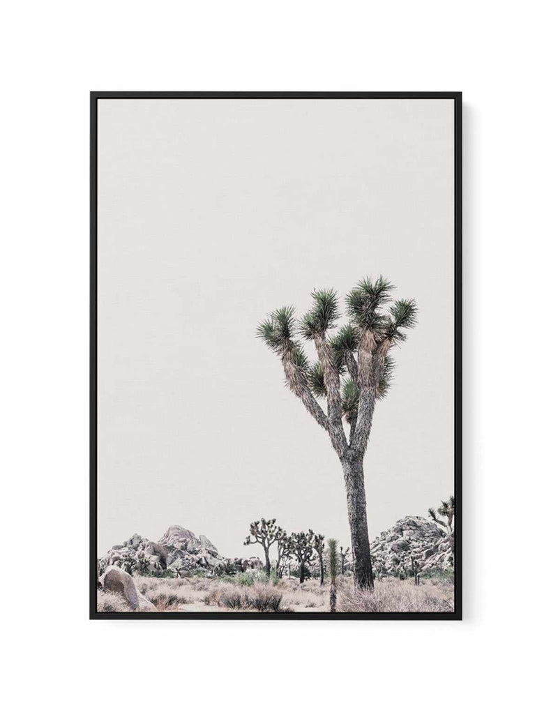 Blushing Joshua Tree II | Framed Canvas-CANVAS-You can shop wall art online with Olive et Oriel for everything from abstract art to fun kids wall art. Our beautiful modern art prints and canvas art are available from large canvas prints to wall art paintings and our proudly Australian artwork collection offers only the highest quality framed large wall art and canvas art Australia - You can buy fashion photography prints or Hampton print posters and paintings on canvas from Olive et Oriel and ha