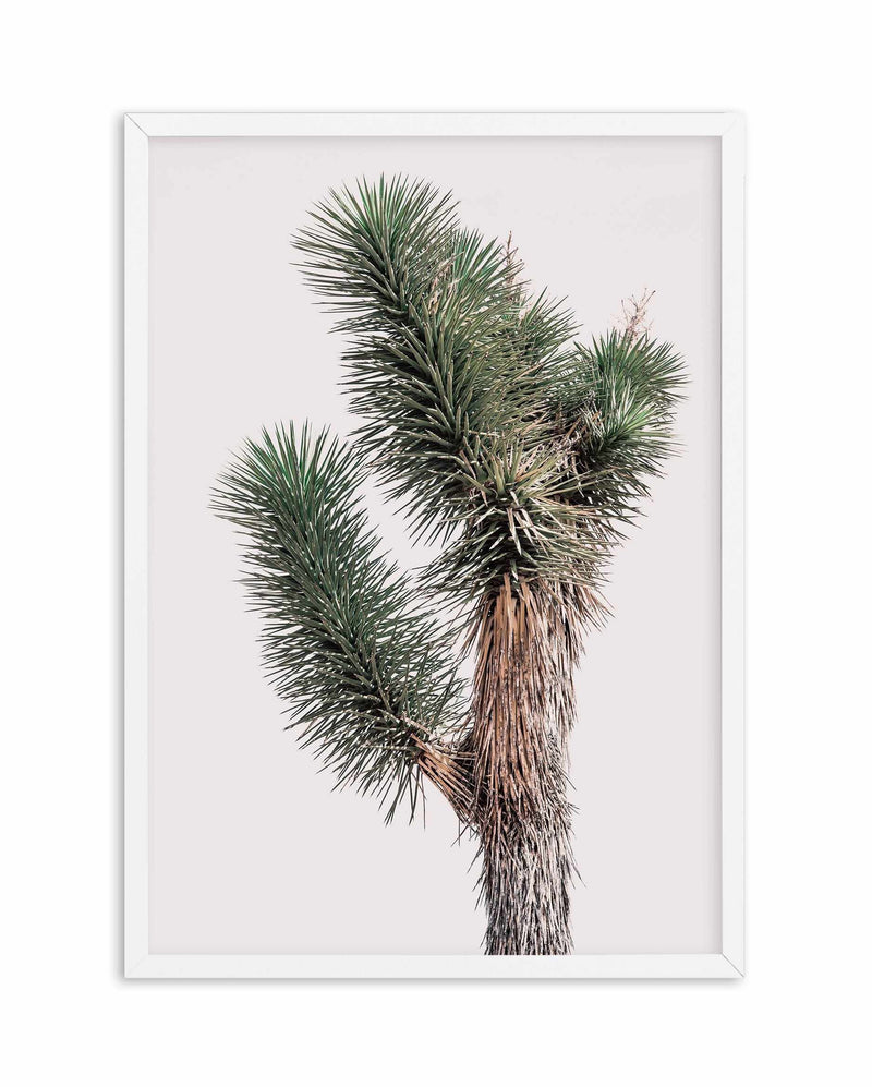 Blushing Joshua Tree I Art Print-PRINT-Olive et Oriel-Olive et Oriel-A4 | 8.3" x 11.7" | 21 x 29.7cm-White-With White Border-Buy-Australian-Art-Prints-Online-with-Olive-et-Oriel-Your-Artwork-Specialists-Austrailia-Decorate-With-Coastal-Photo-Wall-Art-Prints-From-Our-Beach-House-Artwork-Collection-Fine-Poster-and-Framed-Artwork