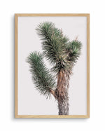 Blushing Joshua Tree I Art Print-PRINT-Olive et Oriel-Olive et Oriel-A4 | 8.3" x 11.7" | 21 x 29.7cm-Oak-With White Border-Buy-Australian-Art-Prints-Online-with-Olive-et-Oriel-Your-Artwork-Specialists-Austrailia-Decorate-With-Coastal-Photo-Wall-Art-Prints-From-Our-Beach-House-Artwork-Collection-Fine-Poster-and-Framed-Artwork