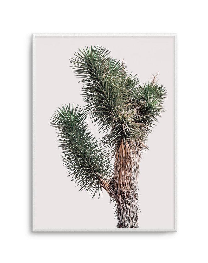 Blushing Joshua Tree I Art Print-PRINT-Olive et Oriel-Olive et Oriel-A4 | 8.3" x 11.7" | 21 x 29.7cm-Unframed Art Print-With White Border-Buy-Australian-Art-Prints-Online-with-Olive-et-Oriel-Your-Artwork-Specialists-Austrailia-Decorate-With-Coastal-Photo-Wall-Art-Prints-From-Our-Beach-House-Artwork-Collection-Fine-Poster-and-Framed-Artwork