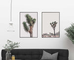 Blushing Joshua Tree I Art Print-PRINT-Olive et Oriel-Olive et Oriel-Buy-Australian-Art-Prints-Online-with-Olive-et-Oriel-Your-Artwork-Specialists-Austrailia-Decorate-With-Coastal-Photo-Wall-Art-Prints-From-Our-Beach-House-Artwork-Collection-Fine-Poster-and-Framed-Artwork