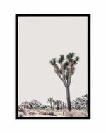 Blushing Joshua Tree II Art Print-PRINT-Olive et Oriel-Olive et Oriel-A4 | 8.3" x 11.7" | 21 x 29.7cm-Black-With White Border-Buy-Australian-Art-Prints-Online-with-Olive-et-Oriel-Your-Artwork-Specialists-Austrailia-Decorate-With-Coastal-Photo-Wall-Art-Prints-From-Our-Beach-House-Artwork-Collection-Fine-Poster-and-Framed-Artwork