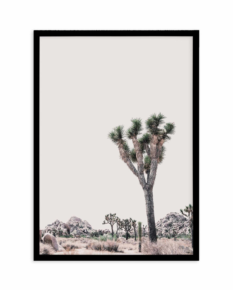 Blushing Joshua Tree II Art Print-PRINT-Olive et Oriel-Olive et Oriel-A4 | 8.3" x 11.7" | 21 x 29.7cm-Black-With White Border-Buy-Australian-Art-Prints-Online-with-Olive-et-Oriel-Your-Artwork-Specialists-Austrailia-Decorate-With-Coastal-Photo-Wall-Art-Prints-From-Our-Beach-House-Artwork-Collection-Fine-Poster-and-Framed-Artwork