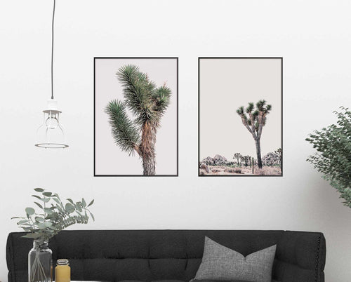 Blushing Joshua Tree II Art Print-PRINT-Olive et Oriel-Olive et Oriel-Buy-Australian-Art-Prints-Online-with-Olive-et-Oriel-Your-Artwork-Specialists-Austrailia-Decorate-With-Coastal-Photo-Wall-Art-Prints-From-Our-Beach-House-Artwork-Collection-Fine-Poster-and-Framed-Artwork