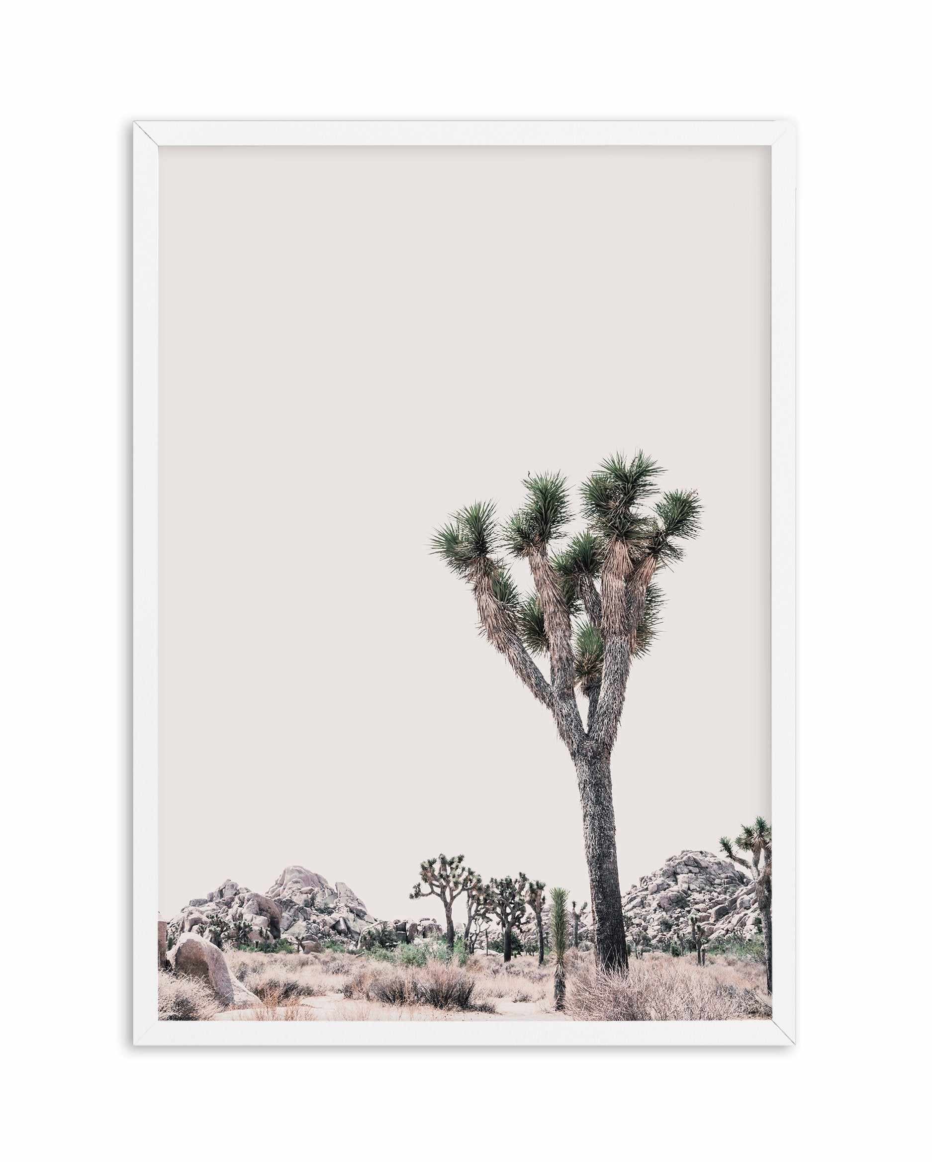 Blushing Joshua Tree II Art Print-PRINT-Olive et Oriel-Olive et Oriel-A4 | 8.3" x 11.7" | 21 x 29.7cm-White-With White Border-Buy-Australian-Art-Prints-Online-with-Olive-et-Oriel-Your-Artwork-Specialists-Austrailia-Decorate-With-Coastal-Photo-Wall-Art-Prints-From-Our-Beach-House-Artwork-Collection-Fine-Poster-and-Framed-Artwork