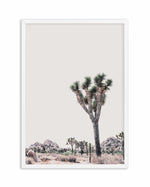 Blushing Joshua Tree II Art Print-PRINT-Olive et Oriel-Olive et Oriel-A4 | 8.3" x 11.7" | 21 x 29.7cm-White-With White Border-Buy-Australian-Art-Prints-Online-with-Olive-et-Oriel-Your-Artwork-Specialists-Austrailia-Decorate-With-Coastal-Photo-Wall-Art-Prints-From-Our-Beach-House-Artwork-Collection-Fine-Poster-and-Framed-Artwork