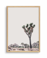 Blushing Joshua Tree II Art Print-PRINT-Olive et Oriel-Olive et Oriel-A4 | 8.3" x 11.7" | 21 x 29.7cm-Oak-With White Border-Buy-Australian-Art-Prints-Online-with-Olive-et-Oriel-Your-Artwork-Specialists-Austrailia-Decorate-With-Coastal-Photo-Wall-Art-Prints-From-Our-Beach-House-Artwork-Collection-Fine-Poster-and-Framed-Artwork