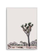 Blushing Joshua Tree II Art Print-PRINT-Olive et Oriel-Olive et Oriel-A4 | 8.3" x 11.7" | 21 x 29.7cm-Unframed Art Print-With White Border-Buy-Australian-Art-Prints-Online-with-Olive-et-Oriel-Your-Artwork-Specialists-Austrailia-Decorate-With-Coastal-Photo-Wall-Art-Prints-From-Our-Beach-House-Artwork-Collection-Fine-Poster-and-Framed-Artwork