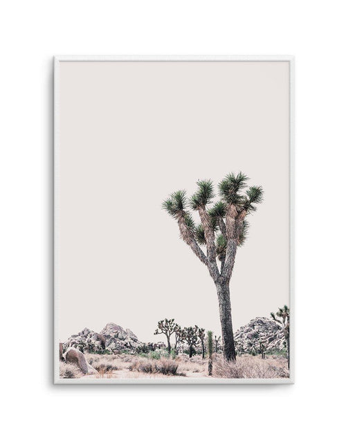 Blushing Joshua Tree II Art Print-PRINT-Olive et Oriel-Olive et Oriel-A4 | 8.3" x 11.7" | 21 x 29.7cm-Unframed Art Print-With White Border-Buy-Australian-Art-Prints-Online-with-Olive-et-Oriel-Your-Artwork-Specialists-Austrailia-Decorate-With-Coastal-Photo-Wall-Art-Prints-From-Our-Beach-House-Artwork-Collection-Fine-Poster-and-Framed-Artwork