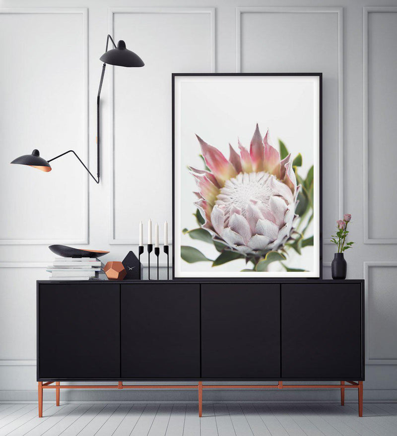 Blushing Protea Art Print-PRINT-Olive et Oriel-Olive et Oriel-Buy-Australian-Art-Prints-Online-with-Olive-et-Oriel-Your-Artwork-Specialists-Austrailia-Decorate-With-Coastal-Photo-Wall-Art-Prints-From-Our-Beach-House-Artwork-Collection-Fine-Poster-and-Framed-Artwork