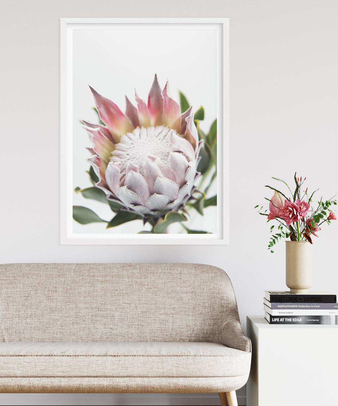 Blushing Protea Art Print-PRINT-Olive et Oriel-Olive et Oriel-Buy-Australian-Art-Prints-Online-with-Olive-et-Oriel-Your-Artwork-Specialists-Austrailia-Decorate-With-Coastal-Photo-Wall-Art-Prints-From-Our-Beach-House-Artwork-Collection-Fine-Poster-and-Framed-Artwork