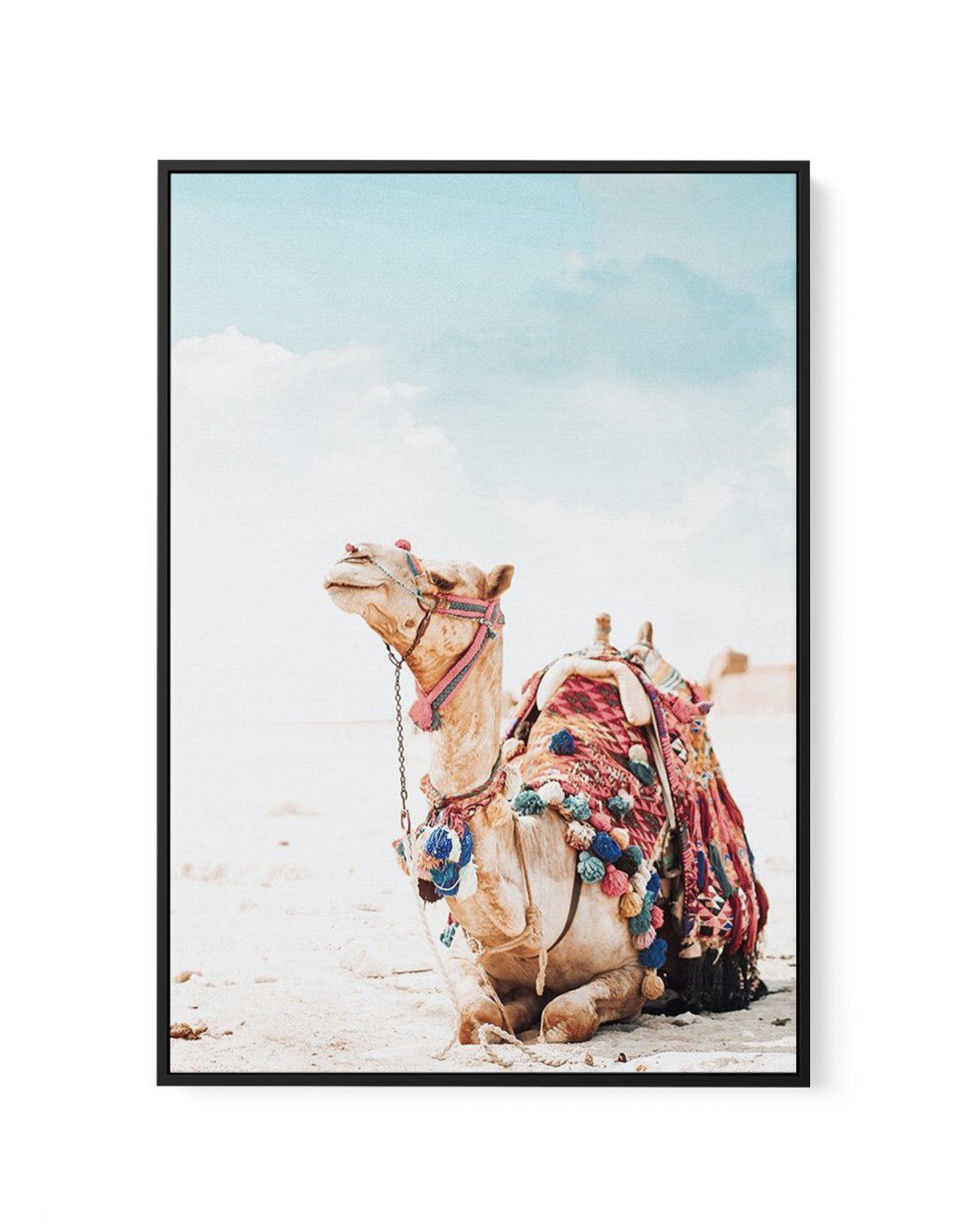 Bohemian Camel | Framed Canvas-CANVAS-You can shop wall art online with Olive et Oriel for everything from abstract art to fun kids wall art. Our beautiful modern art prints and canvas art are available from large canvas prints to wall art paintings and our proudly Australian artwork collection offers only the highest quality framed large wall art and canvas art Australia - You can buy fashion photography prints or Hampton print posters and paintings on canvas from Olive et Oriel and have them d