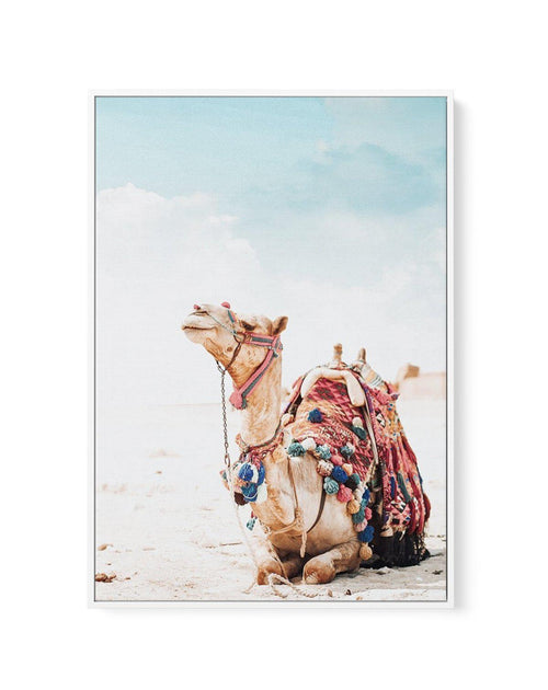 Bohemian Camel | Framed Canvas-CANVAS-You can shop wall art online with Olive et Oriel for everything from abstract art to fun kids wall art. Our beautiful modern art prints and canvas art are available from large canvas prints to wall art paintings and our proudly Australian artwork collection offers only the highest quality framed large wall art and canvas art Australia - You can buy fashion photography prints or Hampton print posters and paintings on canvas from Olive et Oriel and have them d