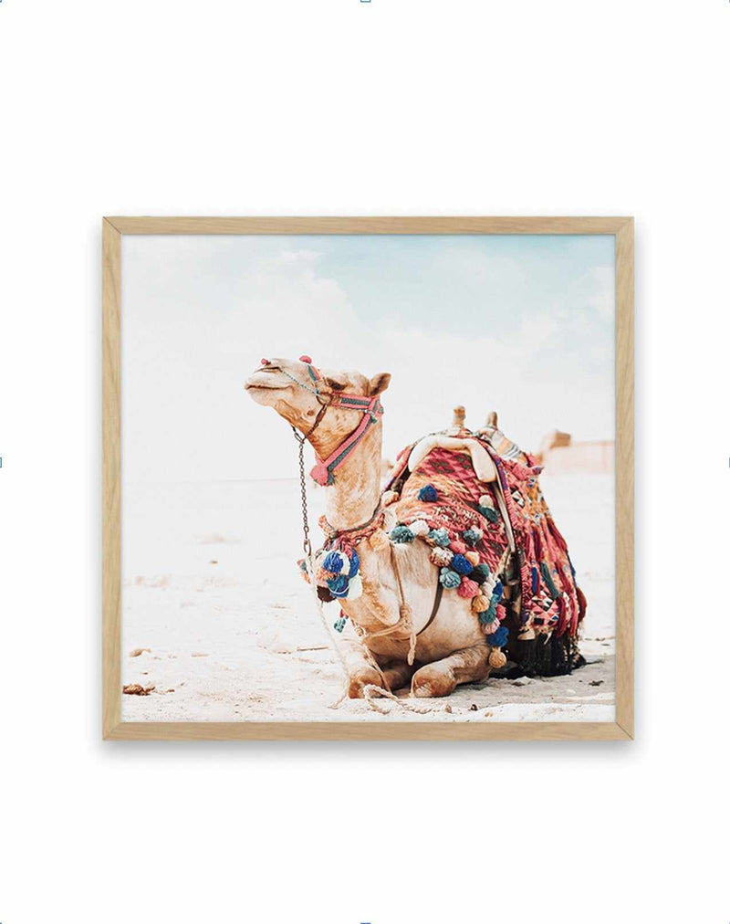 Bohemian Camel | SQ Art Print-PRINT-Olive et Oriel-Olive et Oriel-70x70 cm | 27.5" x 27.5"-Oak-With White Border-Buy-Australian-Art-Prints-Online-with-Olive-et-Oriel-Your-Artwork-Specialists-Austrailia-Decorate-With-Coastal-Photo-Wall-Art-Prints-From-Our-Beach-House-Artwork-Collection-Fine-Poster-and-Framed-Artwork