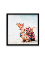 Bohemian Camel | SQ Art Print-PRINT-Olive et Oriel-Olive et Oriel-70x70 cm | 27.5" x 27.5"-Black-With White Border-Buy-Australian-Art-Prints-Online-with-Olive-et-Oriel-Your-Artwork-Specialists-Austrailia-Decorate-With-Coastal-Photo-Wall-Art-Prints-From-Our-Beach-House-Artwork-Collection-Fine-Poster-and-Framed-Artwork