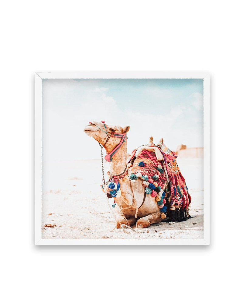 Bohemian Camel | SQ Art Print-PRINT-Olive et Oriel-Olive et Oriel-70x70 cm | 27.5" x 27.5"-White-With White Border-Buy-Australian-Art-Prints-Online-with-Olive-et-Oriel-Your-Artwork-Specialists-Austrailia-Decorate-With-Coastal-Photo-Wall-Art-Prints-From-Our-Beach-House-Artwork-Collection-Fine-Poster-and-Framed-Artwork