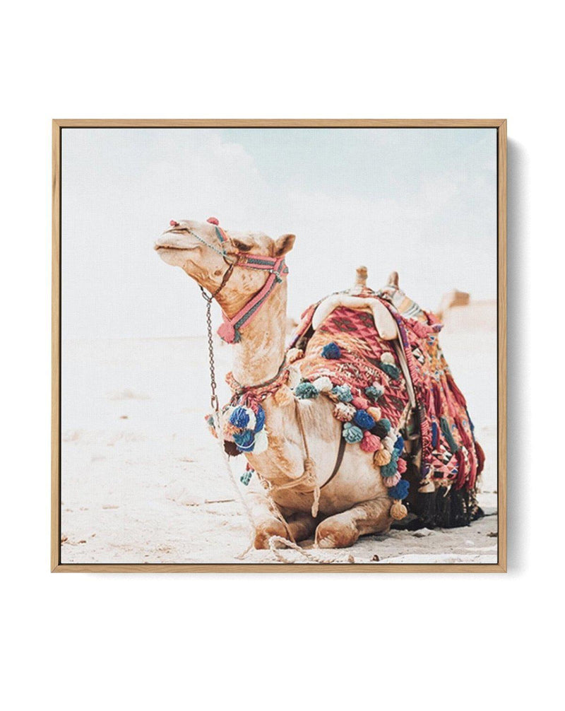 Bohemian Camel SQ | Framed Canvas-CANVAS-You can shop wall art online with Olive et Oriel for everything from abstract art to fun kids wall art. Our beautiful modern art prints and canvas art are available from large canvas prints to wall art paintings and our proudly Australian artwork collection offers only the highest quality framed large wall art and canvas art Australia - You can buy fashion photography prints or Hampton print posters and paintings on canvas from Olive et Oriel and have the