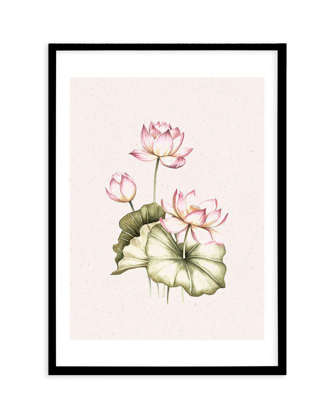 Bohemian Lotus II Art Print-PRINT-Olive et Oriel-Olive et Oriel-A5 | 5.8" x 8.3" | 14.8 x 21cm-Black-With White Border-Buy-Australian-Art-Prints-Online-with-Olive-et-Oriel-Your-Artwork-Specialists-Austrailia-Decorate-With-Coastal-Photo-Wall-Art-Prints-From-Our-Beach-House-Artwork-Collection-Fine-Poster-and-Framed-Artwork