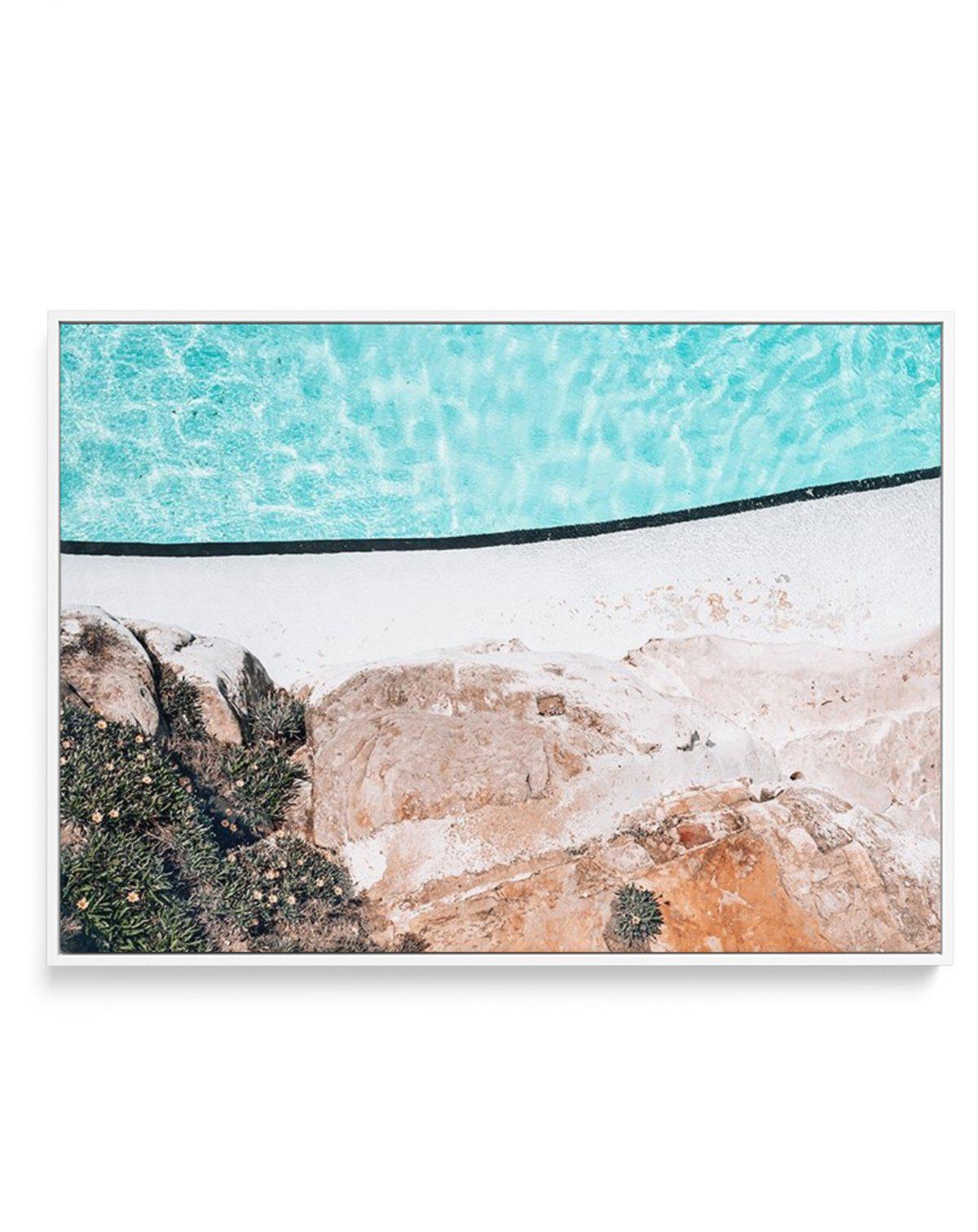 Bondi Icebergs In Bloom | Framed Canvas-CANVAS-You can shop wall art online with Olive et Oriel for everything from abstract art to fun kids wall art. Our beautiful modern art prints and canvas art are available from large canvas prints to wall art paintings and our proudly Australian artwork collection offers only the highest quality framed large wall art and canvas art Australia - You can buy fashion photography prints or Hampton print posters and paintings on canvas from Olive et Oriel and ha