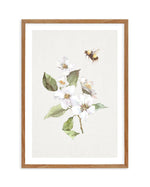 Botanica Bees I Art Print-PRINT-Olive et Oriel-Olive et Oriel-50x70 cm | 19.6" x 27.5"-Walnut-With White Border-Buy-Australian-Art-Prints-Online-with-Olive-et-Oriel-Your-Artwork-Specialists-Austrailia-Decorate-With-Coastal-Photo-Wall-Art-Prints-From-Our-Beach-House-Artwork-Collection-Fine-Poster-and-Framed-Artwork