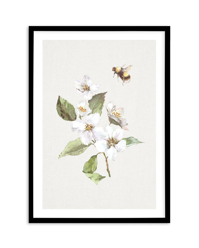 Botanica Bees I Art Print-PRINT-Olive et Oriel-Olive et Oriel-A5 | 5.8" x 8.3" | 14.8 x 21cm-Black-With White Border-Buy-Australian-Art-Prints-Online-with-Olive-et-Oriel-Your-Artwork-Specialists-Austrailia-Decorate-With-Coastal-Photo-Wall-Art-Prints-From-Our-Beach-House-Artwork-Collection-Fine-Poster-and-Framed-Artwork