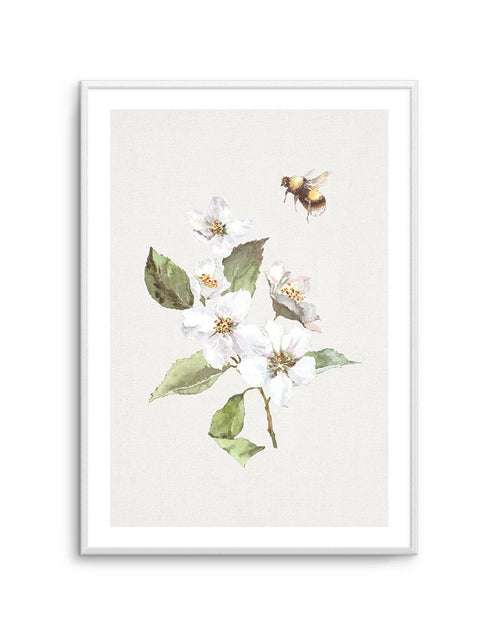 Botanica Bees I Art Print-PRINT-Olive et Oriel-Olive et Oriel-A5 | 5.8" x 8.3" | 14.8 x 21cm-Unframed Art Print-With White Border-Buy-Australian-Art-Prints-Online-with-Olive-et-Oriel-Your-Artwork-Specialists-Austrailia-Decorate-With-Coastal-Photo-Wall-Art-Prints-From-Our-Beach-House-Artwork-Collection-Fine-Poster-and-Framed-Artwork