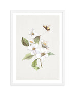 Botanica Bees I Art Print-PRINT-Olive et Oriel-Olive et Oriel-A5 | 5.8" x 8.3" | 14.8 x 21cm-White-With White Border-Buy-Australian-Art-Prints-Online-with-Olive-et-Oriel-Your-Artwork-Specialists-Austrailia-Decorate-With-Coastal-Photo-Wall-Art-Prints-From-Our-Beach-House-Artwork-Collection-Fine-Poster-and-Framed-Artwork
