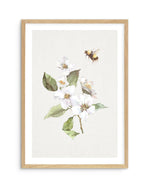 Botanica Bees I Art Print-PRINT-Olive et Oriel-Olive et Oriel-A5 | 5.8" x 8.3" | 14.8 x 21cm-Oak-With White Border-Buy-Australian-Art-Prints-Online-with-Olive-et-Oriel-Your-Artwork-Specialists-Austrailia-Decorate-With-Coastal-Photo-Wall-Art-Prints-From-Our-Beach-House-Artwork-Collection-Fine-Poster-and-Framed-Artwork