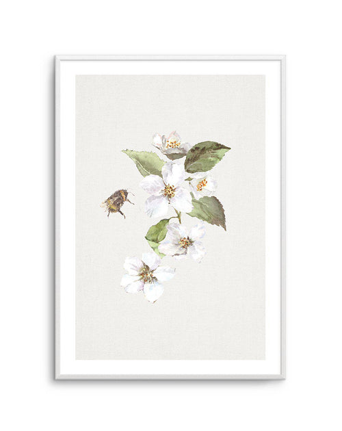 Botanica Bees II Art Print-PRINT-Olive et Oriel-Olive et Oriel-A5 | 5.8" x 8.3" | 14.8 x 21cm-Unframed Art Print-With White Border-Buy-Australian-Art-Prints-Online-with-Olive-et-Oriel-Your-Artwork-Specialists-Austrailia-Decorate-With-Coastal-Photo-Wall-Art-Prints-From-Our-Beach-House-Artwork-Collection-Fine-Poster-and-Framed-Artwork