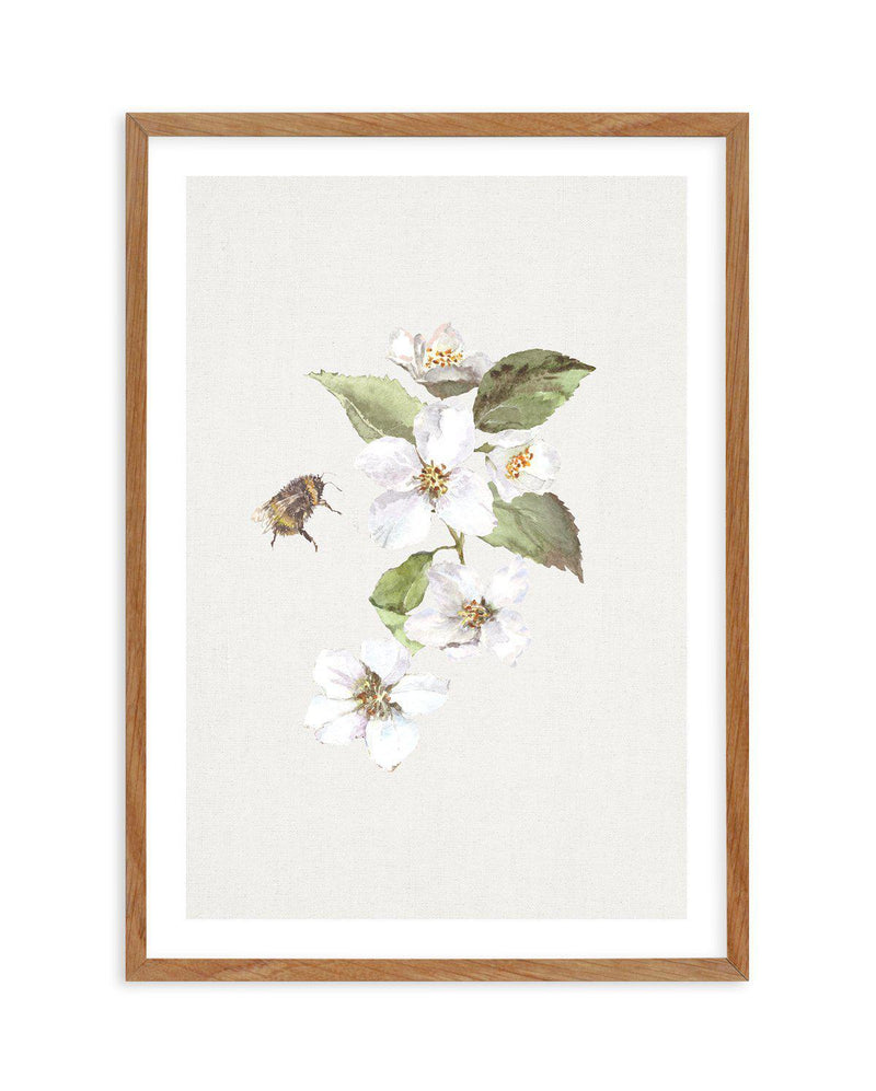 Botanica Bees II Art Print-PRINT-Olive et Oriel-Olive et Oriel-50x70 cm | 19.6" x 27.5"-Walnut-With White Border-Buy-Australian-Art-Prints-Online-with-Olive-et-Oriel-Your-Artwork-Specialists-Austrailia-Decorate-With-Coastal-Photo-Wall-Art-Prints-From-Our-Beach-House-Artwork-Collection-Fine-Poster-and-Framed-Artwork