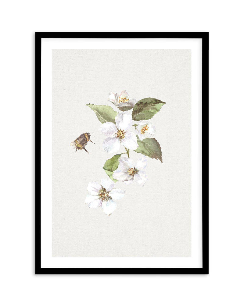 Botanica Bees II Art Print-PRINT-Olive et Oriel-Olive et Oriel-A5 | 5.8" x 8.3" | 14.8 x 21cm-Black-With White Border-Buy-Australian-Art-Prints-Online-with-Olive-et-Oriel-Your-Artwork-Specialists-Austrailia-Decorate-With-Coastal-Photo-Wall-Art-Prints-From-Our-Beach-House-Artwork-Collection-Fine-Poster-and-Framed-Artwork