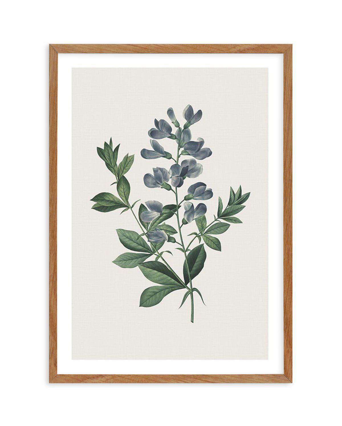 Botanica I Art Print-PRINT-Olive et Oriel-Olive et Oriel-Buy-Australian-Art-Prints-Online-with-Olive-et-Oriel-Your-Artwork-Specialists-Austrailia-Decorate-With-Coastal-Photo-Wall-Art-Prints-From-Our-Beach-House-Artwork-Collection-Fine-Poster-and-Framed-Artwork