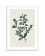 Botanica I Art Print-PRINT-Olive et Oriel-Olive et Oriel-A5 | 5.8" x 8.3" | 14.8 x 21cm-White-With White Border-Buy-Australian-Art-Prints-Online-with-Olive-et-Oriel-Your-Artwork-Specialists-Austrailia-Decorate-With-Coastal-Photo-Wall-Art-Prints-From-Our-Beach-House-Artwork-Collection-Fine-Poster-and-Framed-Artwork
