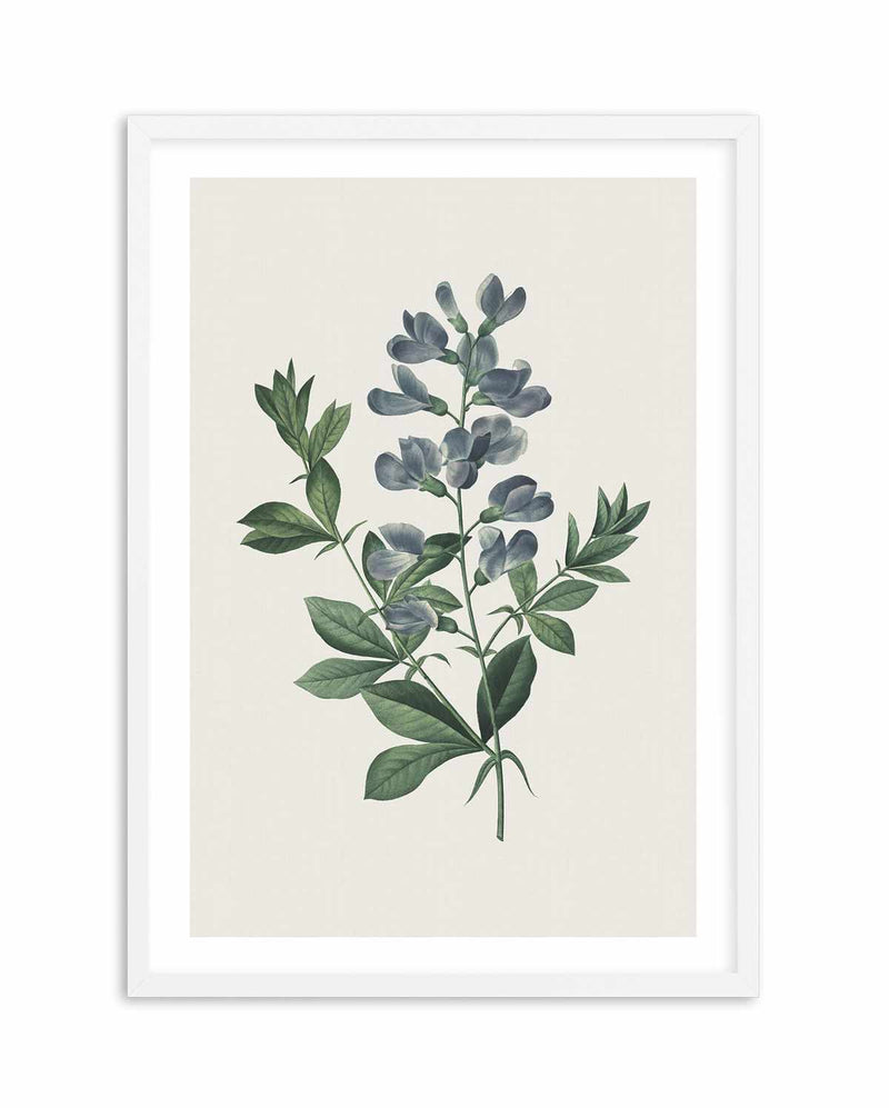 Botanica I Art Print-PRINT-Olive et Oriel-Olive et Oriel-A5 | 5.8" x 8.3" | 14.8 x 21cm-White-With White Border-Buy-Australian-Art-Prints-Online-with-Olive-et-Oriel-Your-Artwork-Specialists-Austrailia-Decorate-With-Coastal-Photo-Wall-Art-Prints-From-Our-Beach-House-Artwork-Collection-Fine-Poster-and-Framed-Artwork