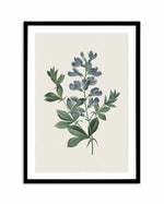Botanica I Art Print-PRINT-Olive et Oriel-Olive et Oriel-A5 | 5.8" x 8.3" | 14.8 x 21cm-Black-With White Border-Buy-Australian-Art-Prints-Online-with-Olive-et-Oriel-Your-Artwork-Specialists-Austrailia-Decorate-With-Coastal-Photo-Wall-Art-Prints-From-Our-Beach-House-Artwork-Collection-Fine-Poster-and-Framed-Artwork